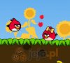 Angry Birds Cannon 3: Walentynki