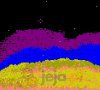 Sand test