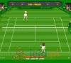 Tennis ziemny