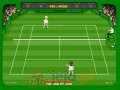 Tennis ziemny