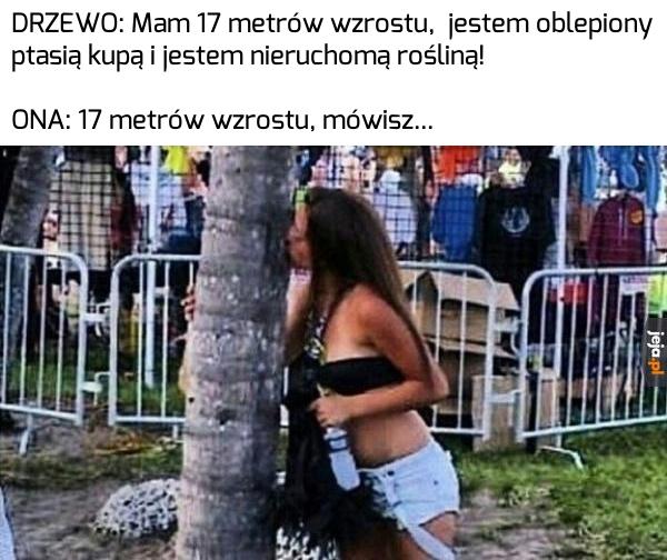 Dziewczyny takie są Jeja pl