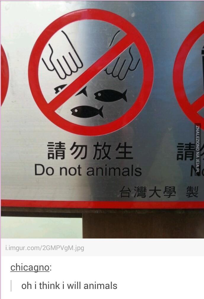 Proszę nie zwierzęta
