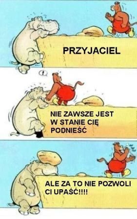 [Obrazek: 1786.jpg]