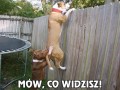 Mów, co widzisz!