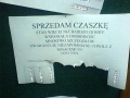 Sprzedam czaszkę