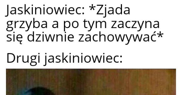 Chyba Wiecie Jakie To Grzyby Jeja Pl