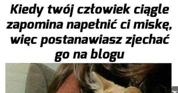 Niech Ma Za Swoje Jeja Pl