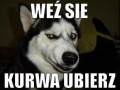 Weź się...