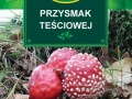 Przysmak teciowej