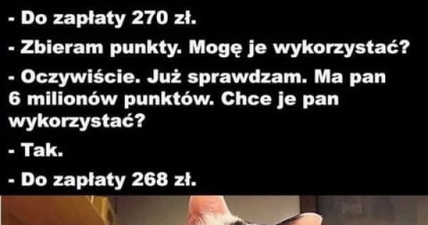 Biedny Kitku Jeja Pl