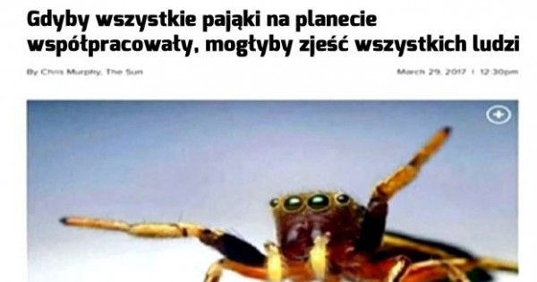 Ciekawostka Jeja Pl