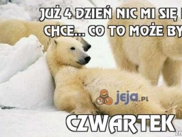 Już 4 dzień nic mi się nie chce... Co to może być?
