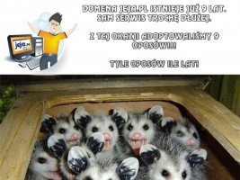 9 lat Jeja.pl