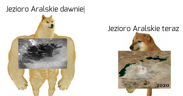 Szkoda Jeja Pl