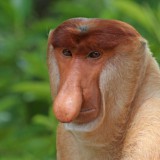 Avatar Damlik12