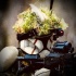 Avatar Ostatni_Klon