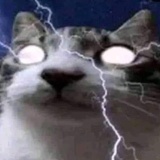 Avatar Chaaynik