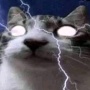 Avatar Chaaynik
