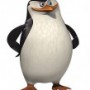 Avatar PingwinSkipper