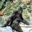 Avatar kogut24