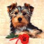 Avatar Kacper1131