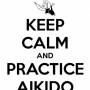 Avatar Aikido_team