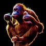 Avatar Napalony_Orangutan_Alfa