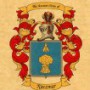 Avatar Kaczmar0