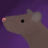 Avatar pythx