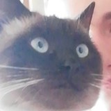 Avatar Kufniasz