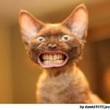 Avatar Przyjacielponczqa