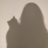 Avatar Lintu