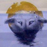 Avatar ehlekben