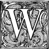Avatar witek3223