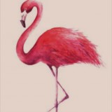 Avatar flamingo