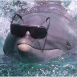 Avatar Furelie