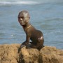 Avatar seal_nigga