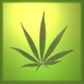Avatar legalizacja94