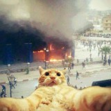 Avatar radomir