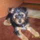 Avatar Adusia123321