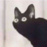 Avatar Kot2137