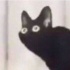 Avatar Kot2137