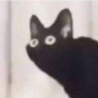 Avatar Kot2137