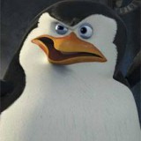 Avatar Skipper_