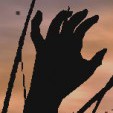 Avatar AliveZombeh