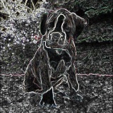 Avatar E5756hbh