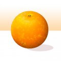 Avatar Orange369