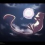 Avatar Mew_the_pokemon