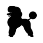 Avatar Czarny_Pudel