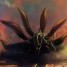 Avatar ludziogator1